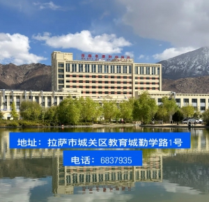 改善患者生活质量——西藏阜康肿瘤医院成功开展经皮穿刺术